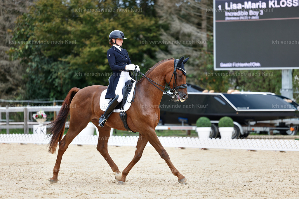 11-141-Dressur S___-Marixx-1822 | working equitationturnier fotograf videograf stoibphotography marixx film working equitation deutschland reitsport turnierfotografie eventfotografie equestrian events