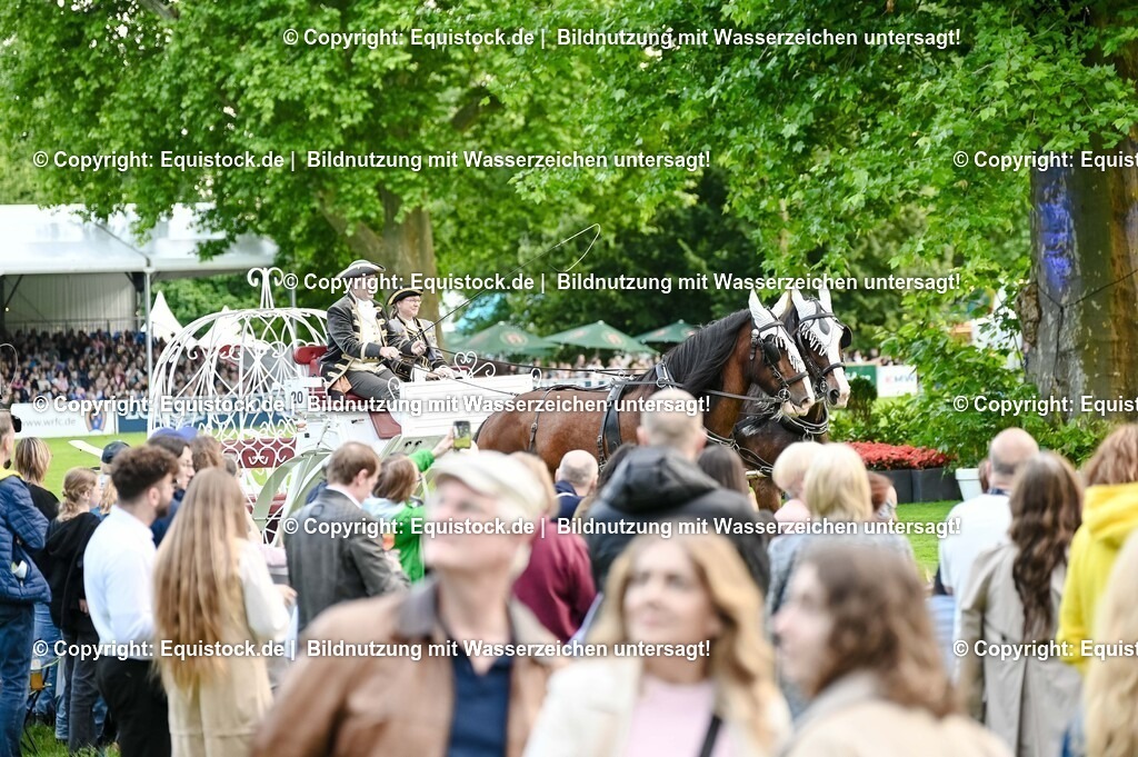 20250606_Lange-Pferdenacht_0237 | Foto: Thomas Hartig