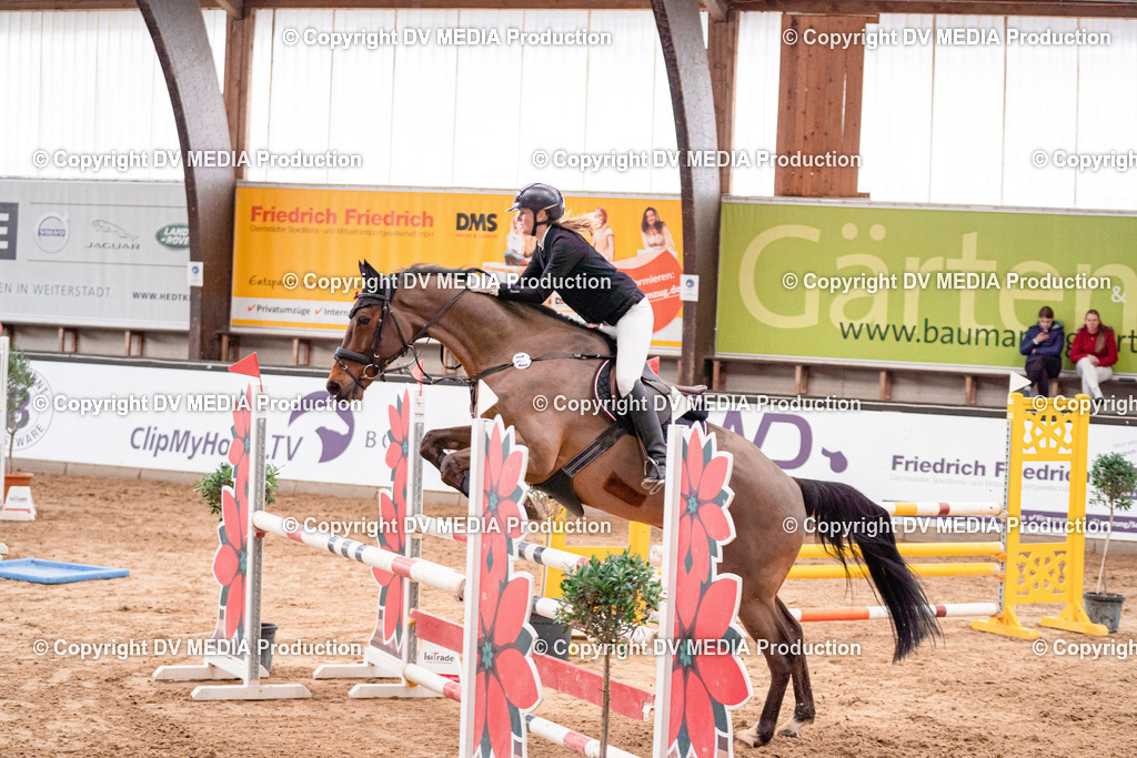 Kranichstein Tag 3-540 | dv-media-shop - Realisiert mit Pictrs.com