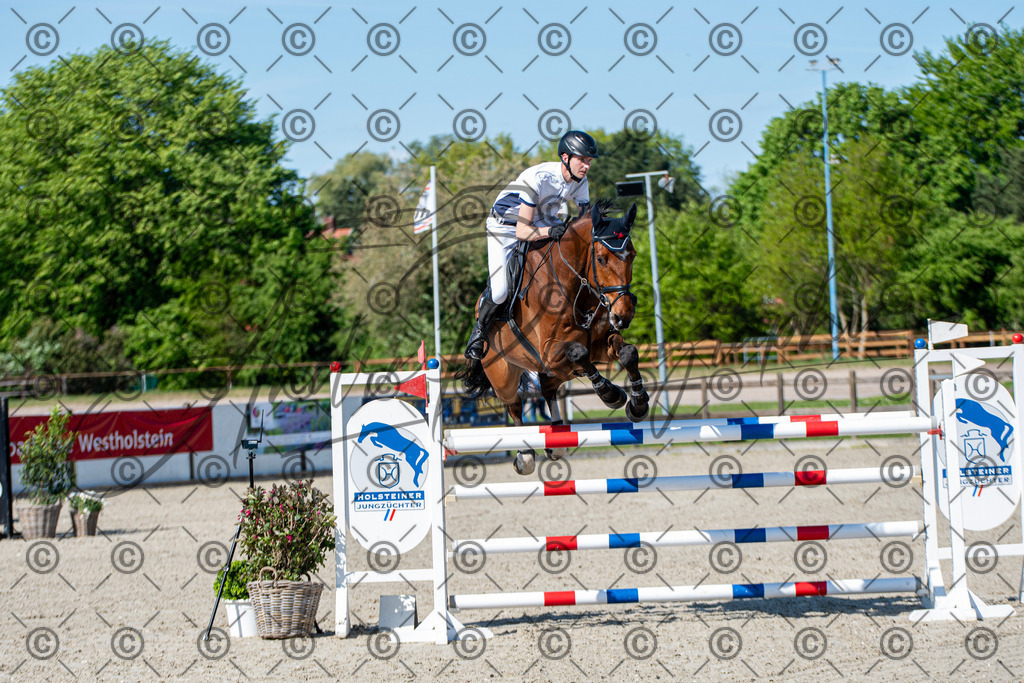 KPT_1483 | andre_photographic