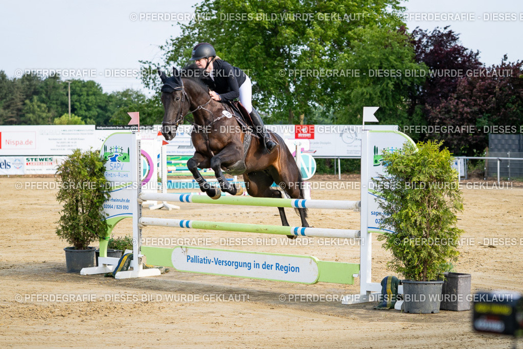 DSC02492 | Pferdegrafie