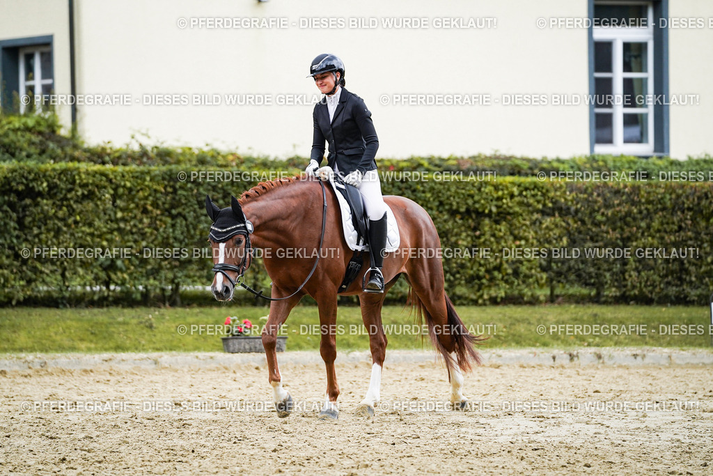 DSC08151 | Pferdegrafie