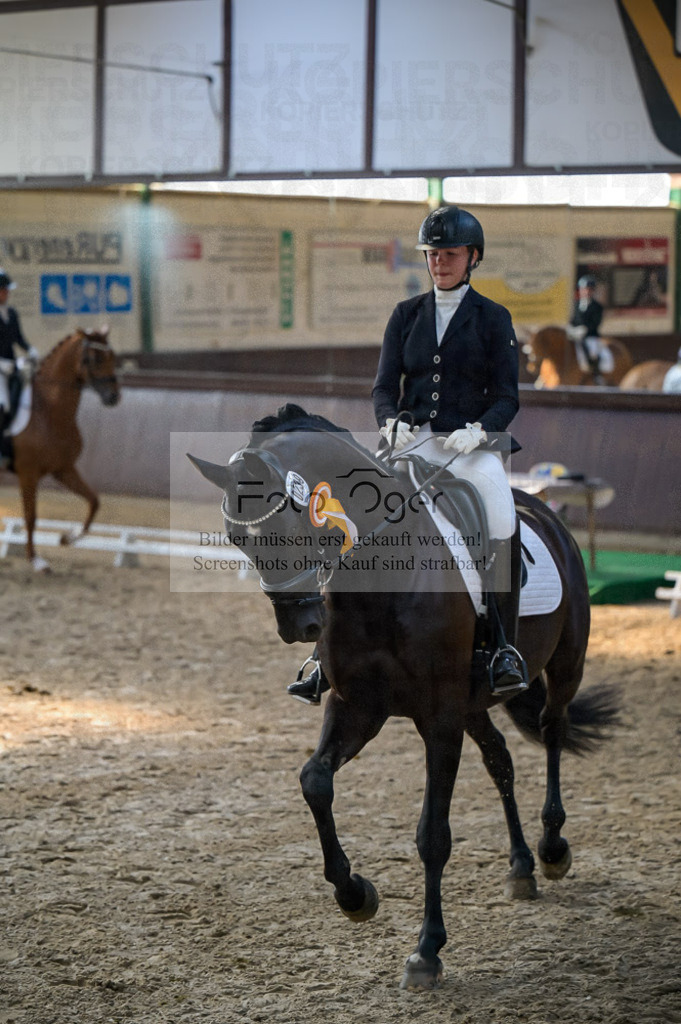 Reitturnier Voxtrup | Entdecke hochwertige Reitturnierfotos von Foto Oger. Professionell, emotional und authentisch – jetzt Lieblingsmomente im Shop bestellen.Deutschlandweite Turnierfotografie. - Realisiert mit Pictrs.com