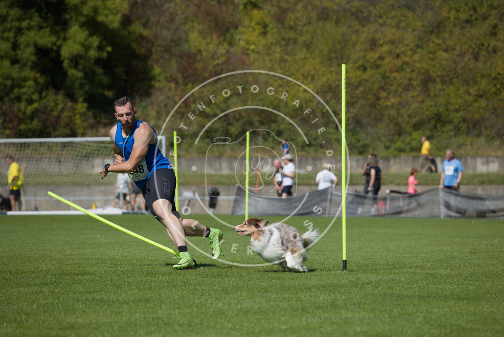 0L8A6269 | Hundefotografie, Tierfotograf, Pfotenfotografie, Fotoshooting Hund, Hunde Portrait, Hundesport, Hundeportraits, Heideshooting, Hunde, Sportfotograf, Hundefotograf, Turnierhundsport, THS,  - Realisiert mit Pictrs.com