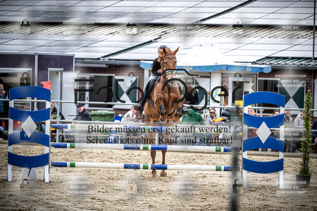 DOS_2457 | Reitturnier Lüdinghausen - Realisiert mit Pictrs.com