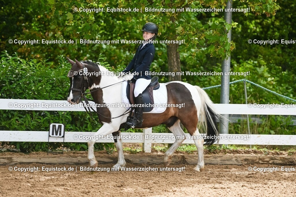 20230716_10-2_Reiter-WB Schritt - Trab - Galopp_0168 | equistock