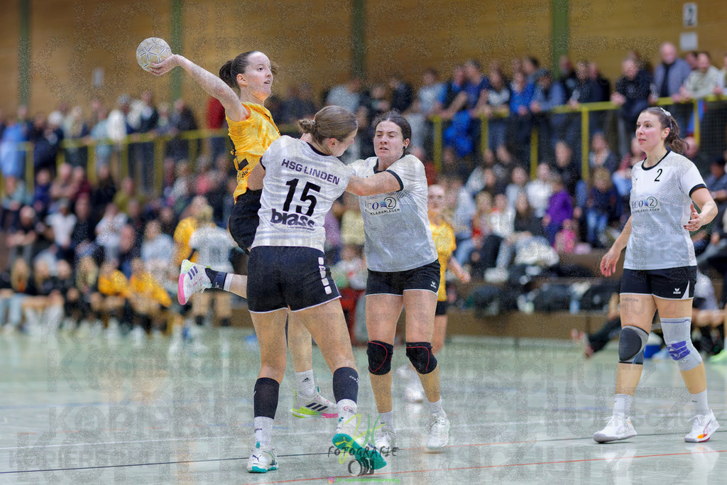 Frauen Oberliga Mitte (HHV); HSG Eibelshausen/Ewersbach - HSG Linden | Frauen Oberliga Mitte (HHV); HSG Eibelshausen/Ewersbach - HSG Linden am 15.11.2025 in Eibelshausen (Holderberghalle)Photo © 2025 - Jörg Heinrich - Realisiert mit Pictrs.com