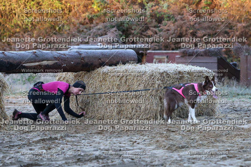 Dog Paparazzi - Strongdog 10-25-373 | Dog Paparazzi Jeanette Grottendiek Fotografie & Videografie - Realisiert mit Pictrs.com