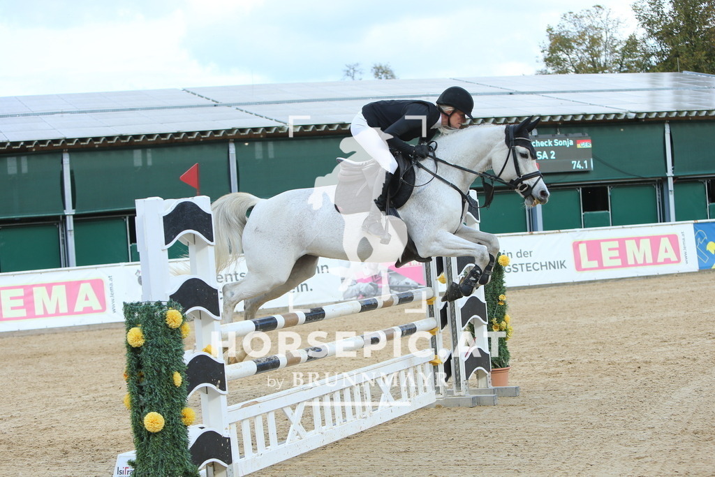 DL2Q5443 | Willkommen bei Brunnmayr - Design & Fotografie – Ihrem Spezialisten für Reitturniere und Pferdeveranstaltungen in Oberösterreich, Salzburg und Bayern! Seit über 17 Jahren sind wir leidenschaftlich dabei.