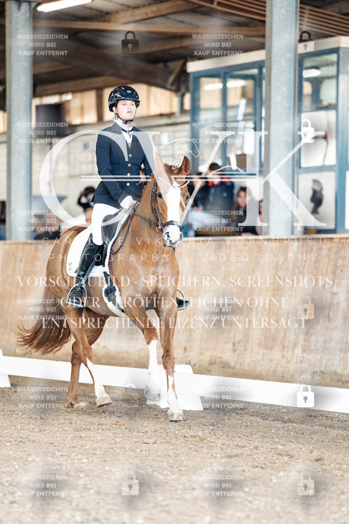 CK900802 | Turnierfotografie Pferdefotografie Trier Rheinland-Pfalz Pferdesport Reitsport Tierfotografie Sportfotografie Pferdevideo Pferdevideografie Equestrianvideography equestrianphotography  - Realisiert mit Pictrs.com