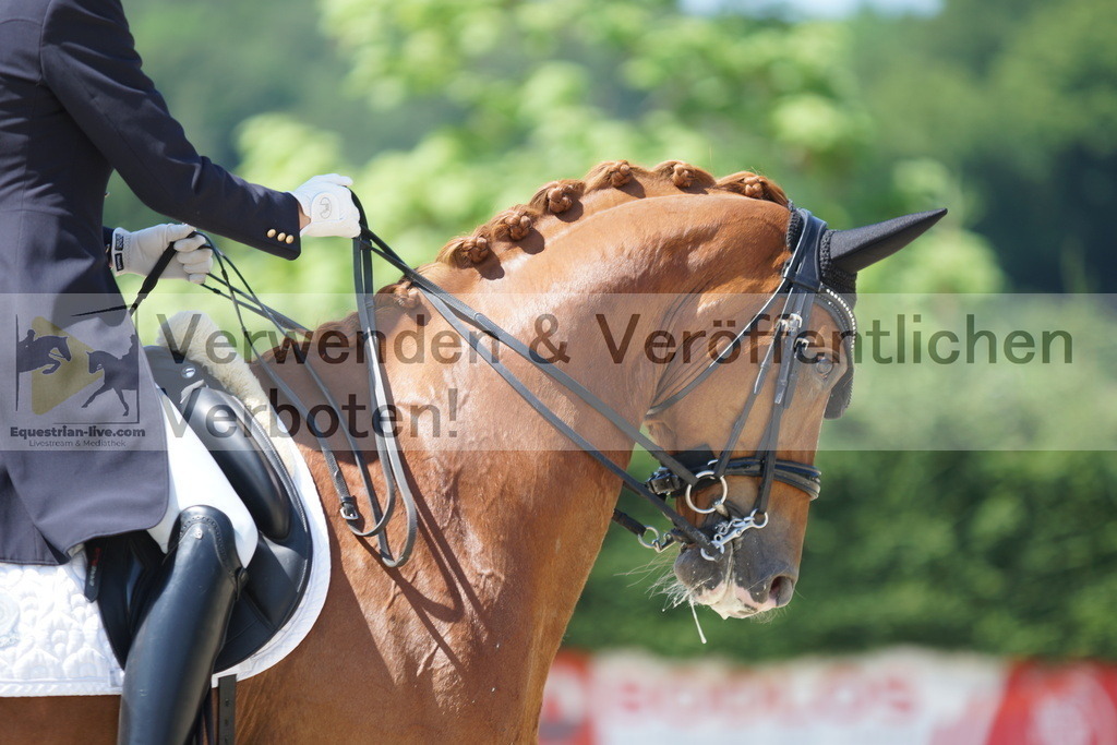 DSC02192 | equestrian-live-com