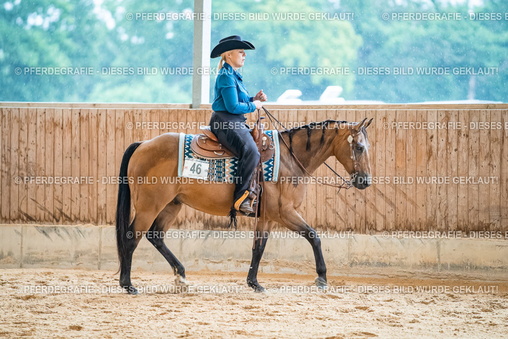 DSC00528 | Pferdegrafie