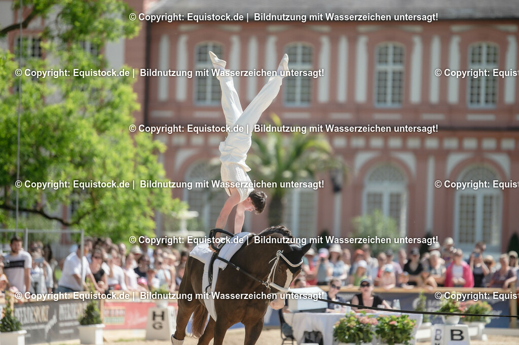 20230528_Voltigieren_NASPA_0078 | equistock