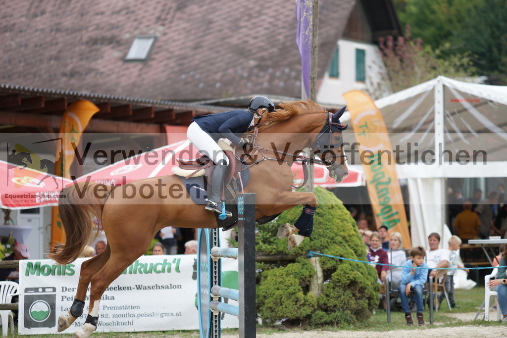 DSC03195 | equestrian-live-com