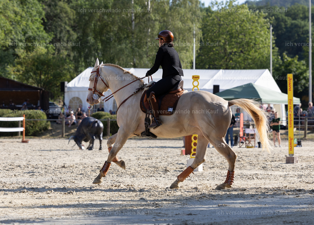 WS_SPEED_65_KerstinBernhardt-3 | working equitationturnier fotograf videograf stoibphotography marixx film working equitation deutschland reitsport turnierfotografie eventfotografie equestrian events
