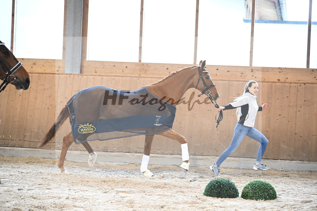Kat-Nr. 89 Dekanto v. Desperados_Hoffmann_7241741 | hf-fotografie - Realisiert mit Pictrs.com