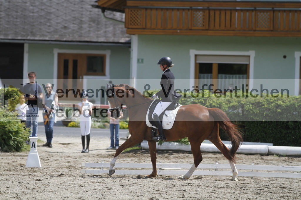_MG_8418 | equestrian-live-com