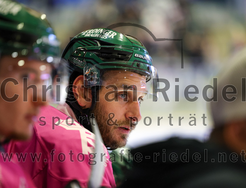 2025-10-05_087_TSV_Erding_gegen_Heilbronner_Falken | Erding, Deutschland, 05.10.2025:Eishockey, Oberliga Süd 2025 / 2026, 6. Spieltag, TSV Erding gegen Heilbronner Falken, Endergebnis: 3:1Maximilian Forster (Erding Gladiators, #81)Foto: Christian Riedel / fotografie-riedel.net