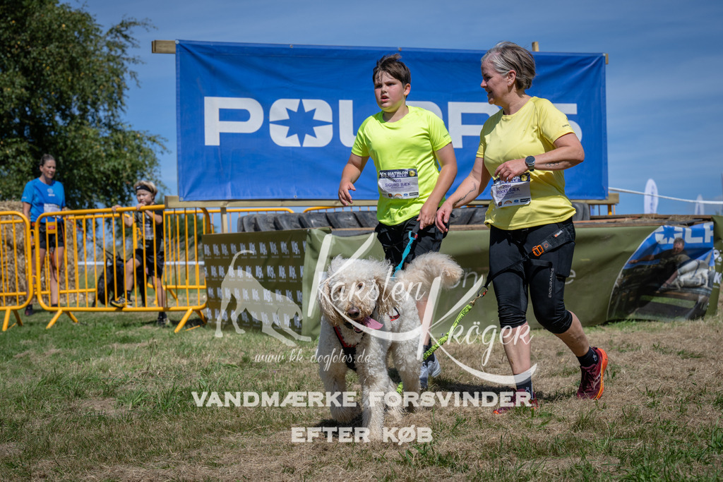1356_ZZ99683 | kk-dogfotos