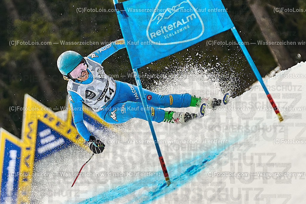 _WWO3795_MASTERS-WM_Reiteralm_CD-SG_GARRAFA Virginia Maria | FISWORLD CHAMPIONSHIPSMASTERS ALPINE SKIING, 23. – 28. MÄRZ 2026 - REITERALM | STMK | AUT.   Veranstaltet vom Masters-Referat des Deutschen Skiverbandes (DSV). Durchführende Organisation: WSV Pichl-Reiteralm, unterstütutzt von den Bergbahnen REITERALM bei Schladming und SKI AUSTRIA.                            Disziplinen:  Super-G, GiantSlalom, Slalom.                                                 Kategorien:  A (Herrn 30-59 Jahre), B (Herrn ab 60 Jahre), C (Damen 30-59 Jahre), D (Damen ab 60 Jahre).                Rennstrecken:   Gasselhöhe und Muldenliftpiste auf der Reiteralm.