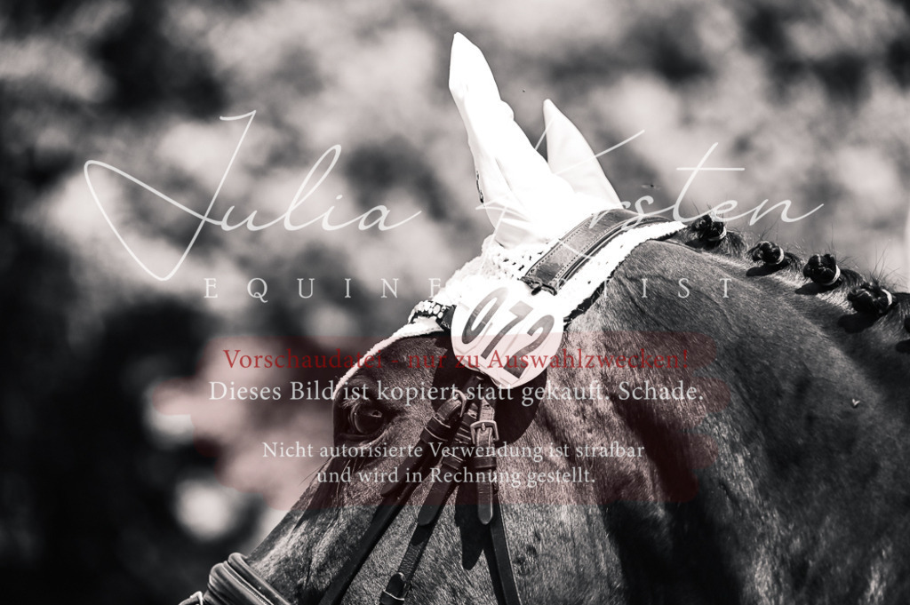 DSC_9581 | Pferde- und Turnierfotografie in Westsachsen. Pferdeportraits, Auftragszeichnungen und intuitive Kunst.