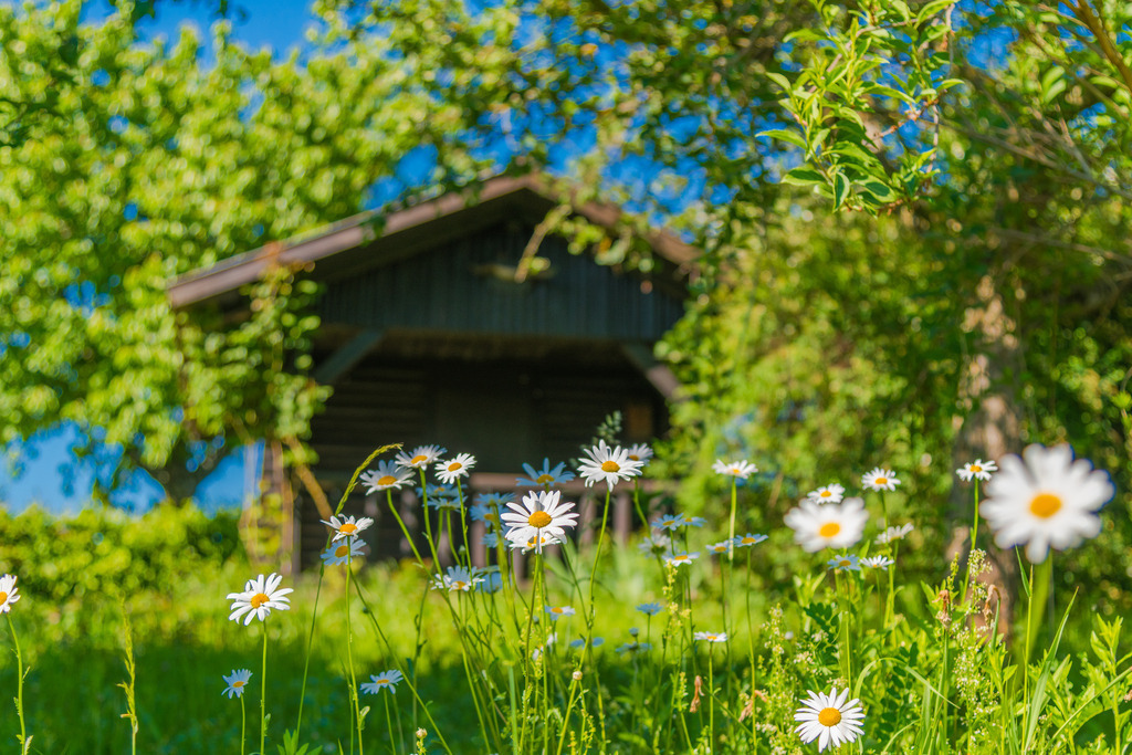 himmelsonah_090526-27 | <div id="allefotografen-seal-verified-green"></div><script src="https://www.allefotografen.de/956728/seal-verified-green/seal.js" async="async"></script> - Realisiert mit Pictrs.com