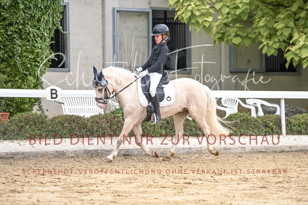 Schugtsche-Aluta25-42.EDressur -414 | Schugtsche Fotografie - Realisiert mit Pictrs.com