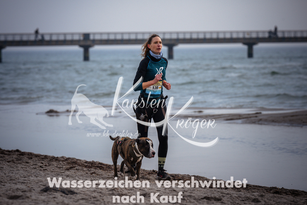 1055_ZZ96578 | kk-dogfotos