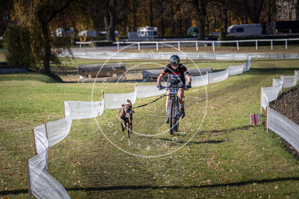 CaniXpix_DV3A6413 | Hundefotografie, Tierfotograf, Pfotenfotografie, Fotoshooting Hund, Hunde Portrait, Hundesport, Hundeportraits, Heideshooting, Hunde, Sportfotograf, Hundefotograf, Turnierhundsport, THS,  - Realisiert mit Pictrs.com