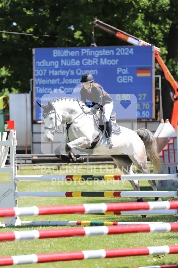 IMG_6232 | Pauline Ullmann Photography - Realisiert mit Pictrs.com