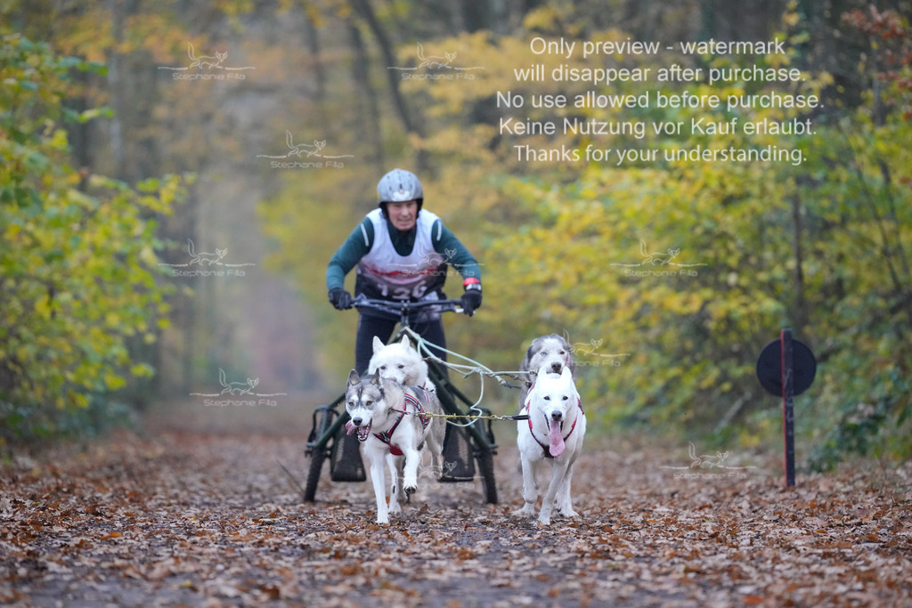 Rigs4bis8So-39 | stephaniefillaphotographie - Realisiert mit Pictrs.com