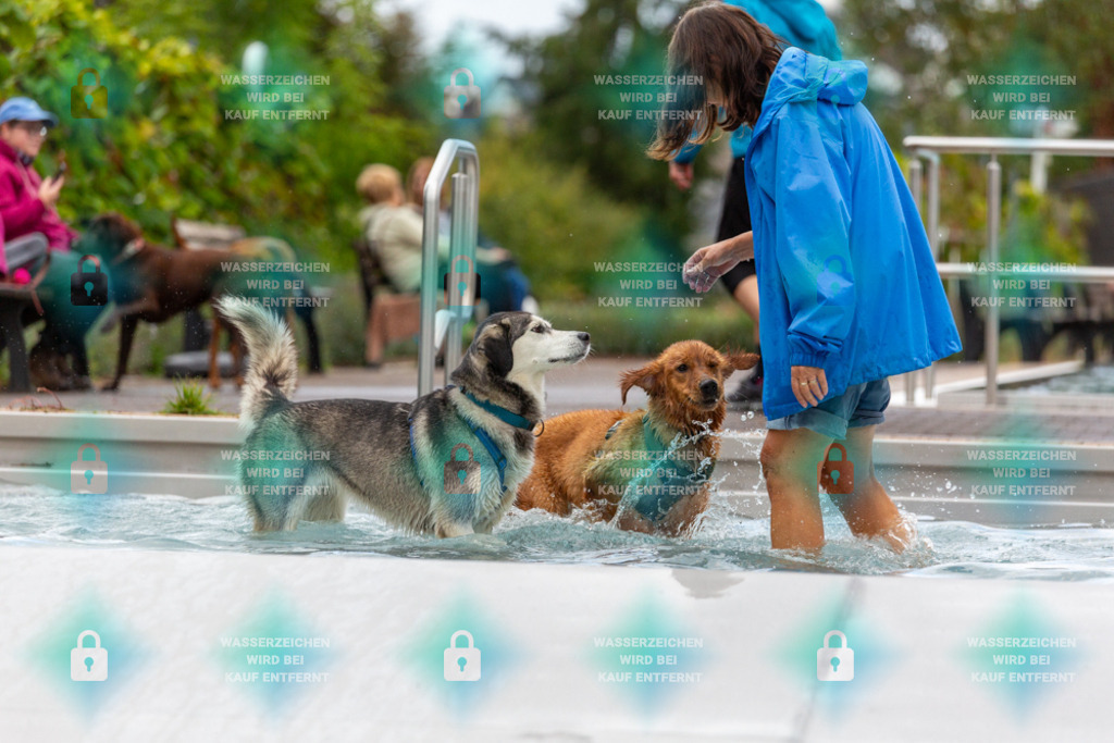 _HP_6245_1000o | HetPix, HetPix Fotodesign, Fotografie, Fotodesign, Webshop, Sportfotografie, Portraitfotografie, Onlineshop, Sportfotografie, Polch, Motorsportfotografie, Eventfotografie