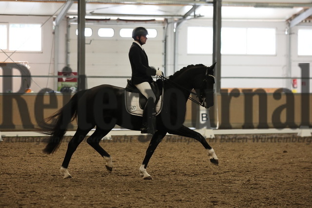 Waghäusel-Wiesental_2024_Prfg.Nr.08_1.WP_U25_Timo Kemmerer_FBW Farani (12) | Alle Fotos der Reiterjournal Fotografin Doris Matthaes im Reiterjournal Online-Fotoshop. - Realisiert mit Pictrs.com