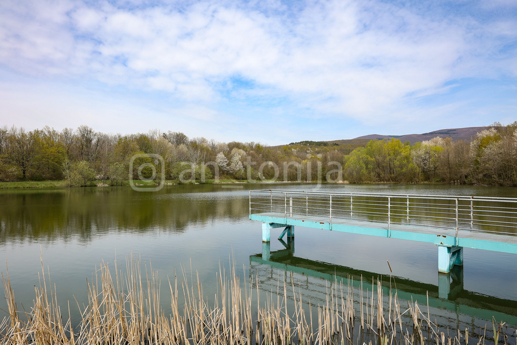 A.Trupina-233 | antonija-trupina - Realisiert mit Pictrs.com