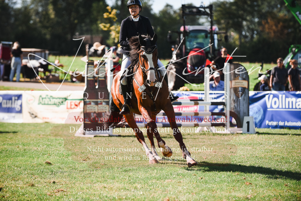 DSC_2467 | Pferde- und Turnierfotografie in Westsachsen. Pferdeportraits, Auftragszeichnungen und intuitive Kunst.