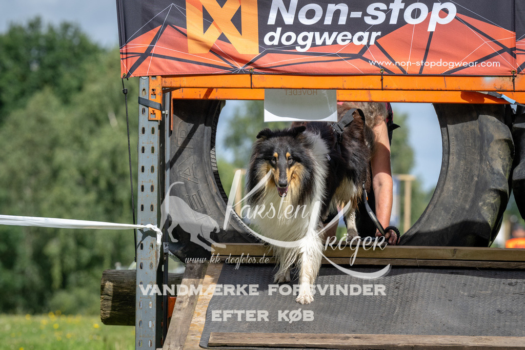 1202_ZZ93360 | kk-dogfotos
