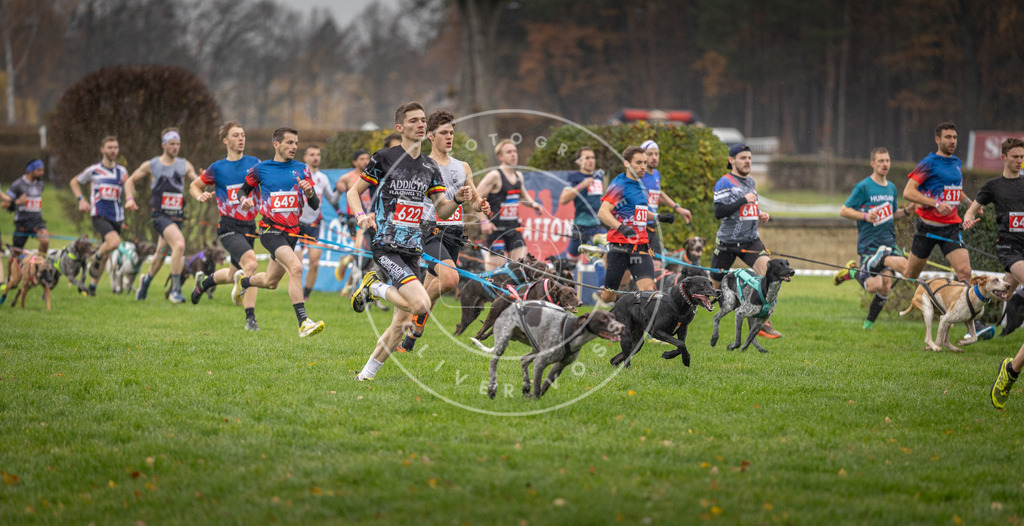 CaniXpix_DV3A9459 | Hundefotografie, Tierfotograf, Pfotenfotografie, Fotoshooting Hund, Hunde Portrait, Hundesport, Hundeportraits, Heideshooting, Hunde, Sportfotograf, Hundefotograf, Turnierhundsport, THS,  - Realisiert mit Pictrs.com