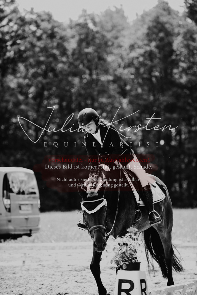 DSC_1011 | Pferde- und Turnierfotografie in Westsachsen. Pferdeportraits, Auftragszeichnungen und intuitive Kunst.
