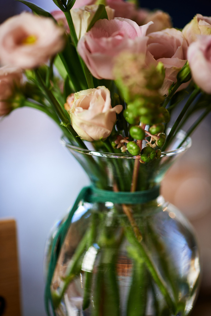Cafebrennerei Franze | Wien, Austria - July 24, 2019: Cafebrennerei Franze am Kutschkermarkt. - Realisiert mit Pictrs.com