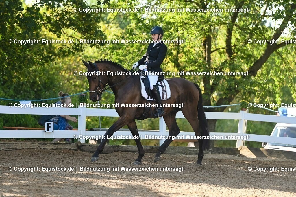 20230715_06_Dressurpferdeprfg. Kl.A_0043 | equistock
