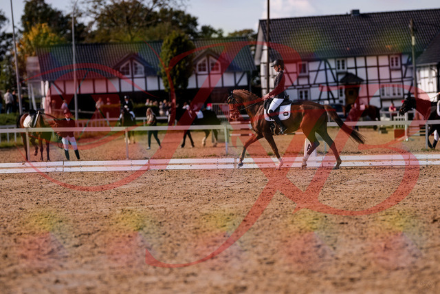 2026_10_03_Siefer-Hof_133144_Z81_86280769 | Professionelle Reitsport-, Turnier- und Eventfotografie von Robert Broda. Galerien mit ausgewählten und bearbeiteten Bildern direkt online ansehen und bestellen.