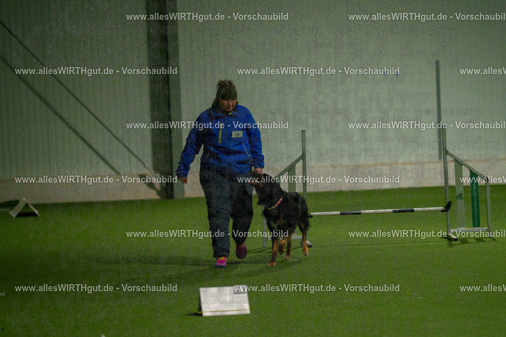 7R508731 | Professionelle Tierfotografie in Mönchengladbach von Daniel Wirth (allesWIRTHgut). Liebevolle & natürliche Bilder von Hunden & Katzen für unvergessliche Erinnerungen.