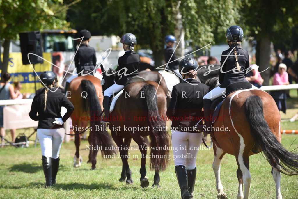 DSC_9787 | Pferde- und Turnierfotografie in Westsachsen. Pferdeportraits, Auftragszeichnungen und intuitive Kunst.