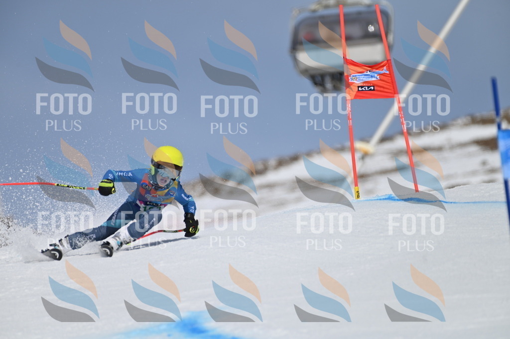 BGV_3579 | holidayphoto