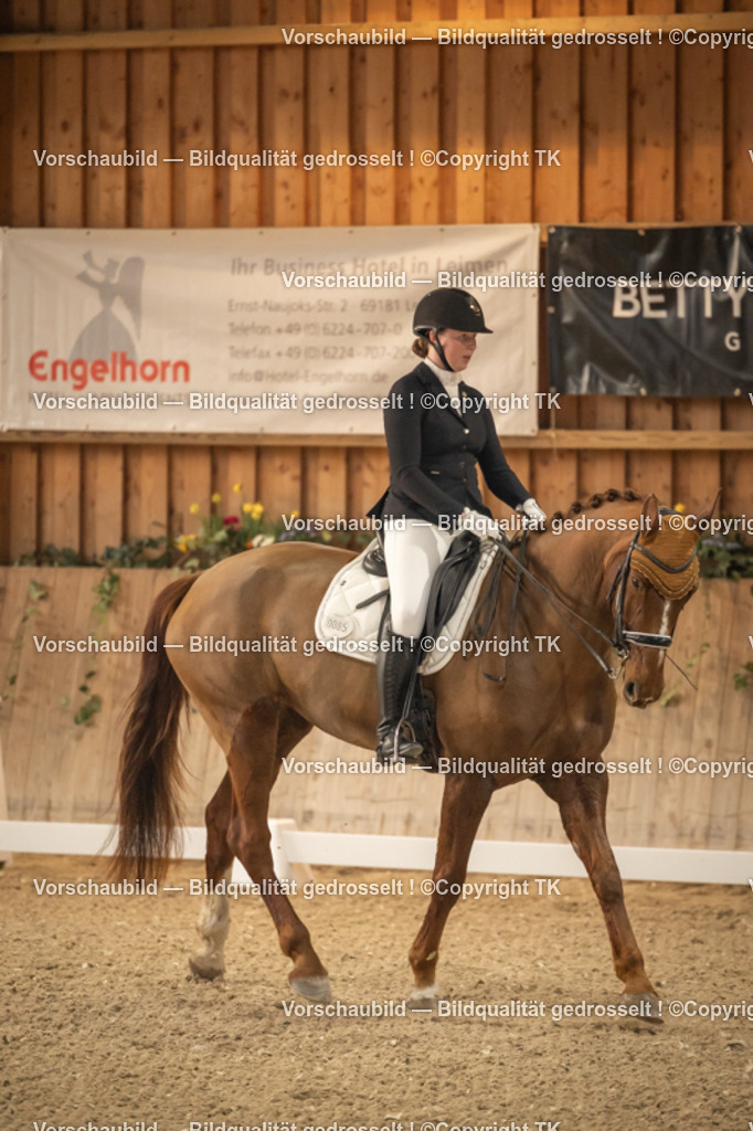 _D5A3591 | Emotionale Pferde- & People-Fotografie rund um Heidelberg, Leimen & Umgebung. Natürliche Fotos von Pferd, Mensch & Familie. Jetzt Termin sichern!