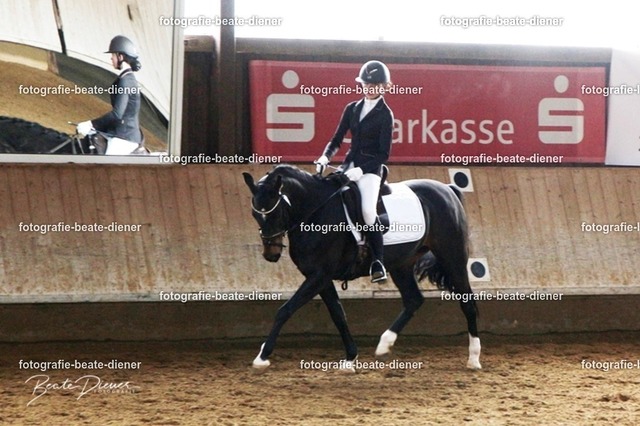 JugendTrophy0011 | Fotografie, Tiere, Hunde, Katzen, Pferde, Sportfotografie, Fotosession, Tierfotografie, Turnierfotografie, Fotografin, Fotograf - Realisiert mit Pictrs.com