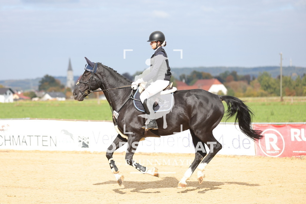 0P6A8562 | Willkommen bei Brunnmayr - Design & Fotografie – Ihrem Spezialisten für Reitturniere und Pferdeveranstaltungen in Oberösterreich, Salzburg und Bayern! Seit über 17 Jahren sind wir leidenschaftlich dabei.