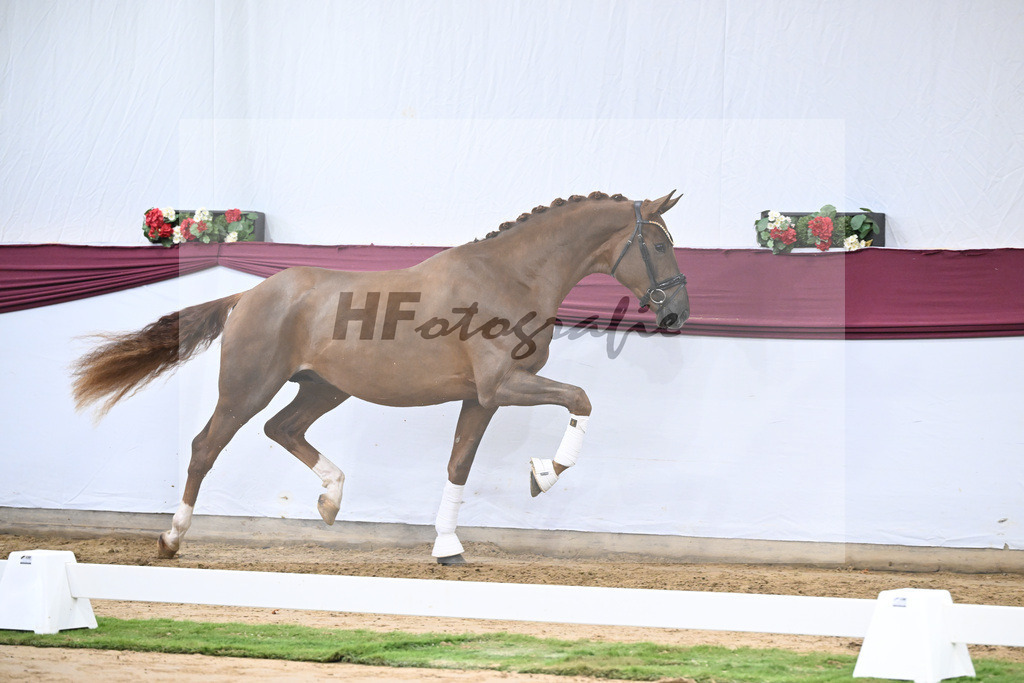 Kat-Nr. 52 Filox x Feinrich_Rothenberger Ventures GmbH_47251953 | hf-fotografie - Realisiert mit Pictrs.com