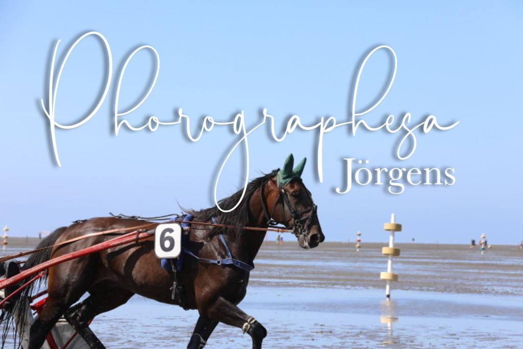 IMG_9488 | photographesa-joergens - Realisiert mit Pictrs.com