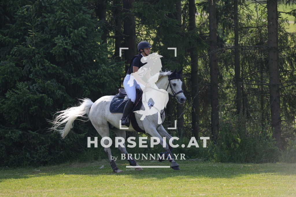0P6A7629 | Willkommen bei Brunnmayr - Design & Fotografie – Ihrem Spezialisten für Reitturniere und Pferdeveranstaltungen in Oberösterreich, Salzburg und Bayern! Seit über 17 Jahren sind wir leidenschaftlich dabei.